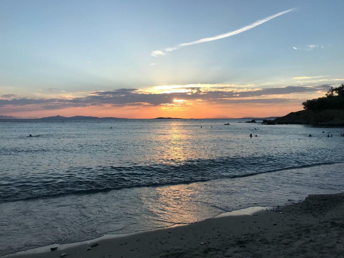 Best Seaview Attica Saronida المظهر الخارجي الصورة